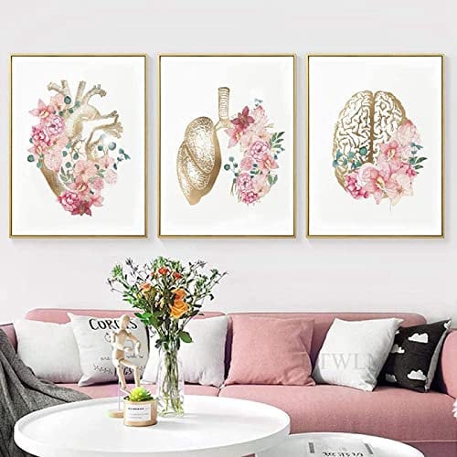 Blumen Anatomie Menschliche Leinwandbilder Malerei Herz Lunge Gehirn Wanddekoratio Krankenhaus Klinik Wandkunst Kunstposter Bilder Rahmenlos (3X40X50CM)