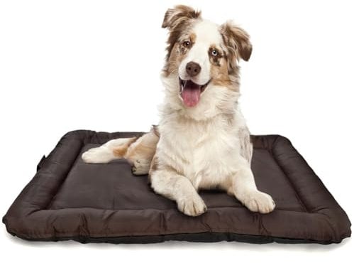 all Pets United® Hundekissen Hundebett Indoor & Outdoor; Hunde-Kissen Hunde-Körbchen; Schlafplatz für Hund & Katzen (S - 60x40 cm)