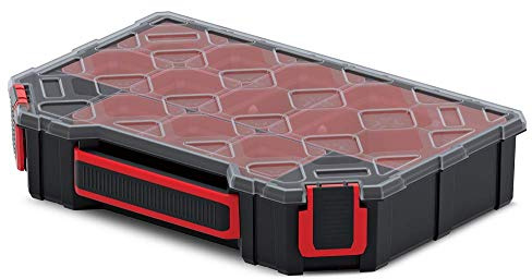 Kistenberg Sortimentskasten Kleinteilemagazin Sortierbox Sortierkasten Sortimentskoffer Kleinteile Organiser mit herausnehmbaren Einsatz - Boxen, transparenter Deckel, 284 x 195 x 60 mm