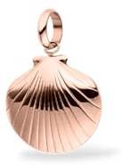 Purelei Muschel Charm für Damen, maritimer Anhänger aus Edelstahl in Muschelform, Schmuck Anhänger für Ketten und Armbänder, sommerliches Accessoire für Urlaub (Rosegold)