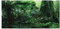 3D Effekt Regenwald Poster Selbstklebende Reptilien Terrarium Aquarium Hintergrund Aquarium Wandaufkleber Aquarium Hintergrund Unterwasser Poster PVC Dekor Tapete (76 × 46 cm)