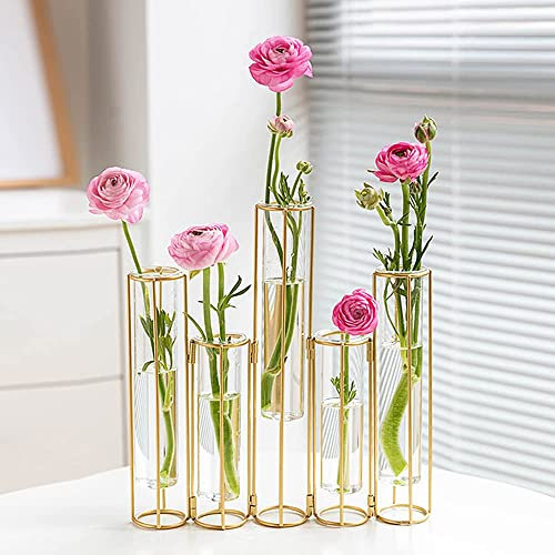 Bigsee Gold Reagenzglas-Vase für Blumen, 5er-Set, Modern, Rund, Tischplatte, Hydrokultur, Display-Set, Heimdekoration