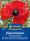 Kiepenkerl Klatschmohnsamen Roter Sommermohn 1063850 - einjährige, farbenfrohe Mohnsamen mit leuchtend roten Blüten - Wildblumensamen, Blumenwiese, Saatgut