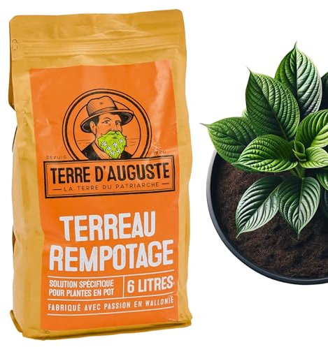 TERRE D'AUGUSTE - substrato 6L con cremallera resellable - tierra para plantas en macetas - para plantas y palmeras de interior - Plantas verdes y con flores - cactus, carnivora, ...