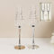 CC Personalised Amore Set of 2 Silver 25th Wedding Anniversary Straight Champagne Flutes with silver stems - Add Your Own Message (Personalised)