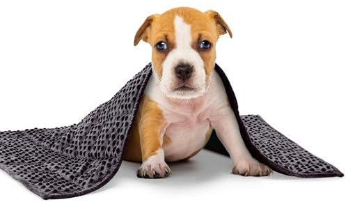 YUSRA Gewichtsdecke für Hunde, kleine gewichtete Decke für Hunde, besonders für Gewitter, Feuerwerk, Trennung, Reisen, Bett und Couch, Feuerwerksdecke für Hunde (Dunkelgrau, 61 x 81,3 cm, 0,9 kg)