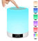 Warmfunn Lamparas de Mesita de Noche, Tátil Regulável Multicor Lámpara de Mesa con Altifalantes Bluetooth/Radio FM/Despertador, Recargable Luz Nocturna Presentes para Adolescentes Infantil niñas