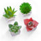 HEY FOLY Kühlschrankmagnet, Motiv: Kaktus, Sukkulenten, niedlich, 3D, Mini-Pflanze, Kühlschrankmagnete, Dekoration, Küche, Haus, Büro, Whiteboard (Bonsai)