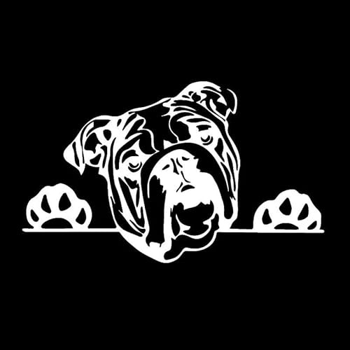 JIFENLI Autoaufkleber 16,2 x 9,7 cm Olde Englische Bulldogge Bully Hund Aufkleber Vinyl Auto Aufkleber Lustiges Muster Schwarz/Silber