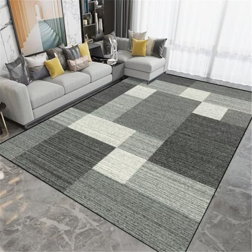 SUNYRDSM Tepich Waschbare Teppiche In Waschmaschine 200X300CM Einfacher Stil graue Fläche Dekoration modernes Haus Anti-Fouling Teppich Flur