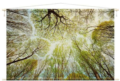 micasia Wandteppich Wald Bäume Natur Stoffbild inkl. Holzstäbe & Seile Wanddeko - Made in Germany - Baum Modern grün Wohnzimmer Schlafzimmer Wandbehang 1610 (110x73cm)