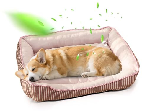 PETCUTE Kühl Hundebett,Orthopädisches Hundebett Grosse Hunde,Waschbar Hundekorb mit 4 Rändern,Hundesofa, Hundekissen mit Anti-Rutsch-Boden,Passend für Sommer,Rosa,L