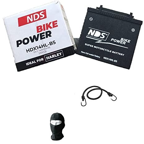 COMPATIBILE CON HARLEY DAVIDSON XLR Sportster Roadster 883 2011-2013 BATTERIA NDS HDX14HL-BS GEL (SIGILLATA GIA' CARICA) 12V/14AH BATTERIE 220CCA PER MOTO HARLEY 149X87X144