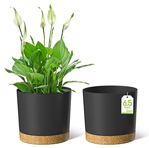 ZMTECH Blumentopf 16,5 cm Durchmesser übertöpfe für zimmerpflanzen, Kunststoff blumentöpfe mit Untersetzer und Abflusslöchern, Rund pflanztöpfe für Innen Außen Pflanzen(2er-Set, Dunkel Grau)