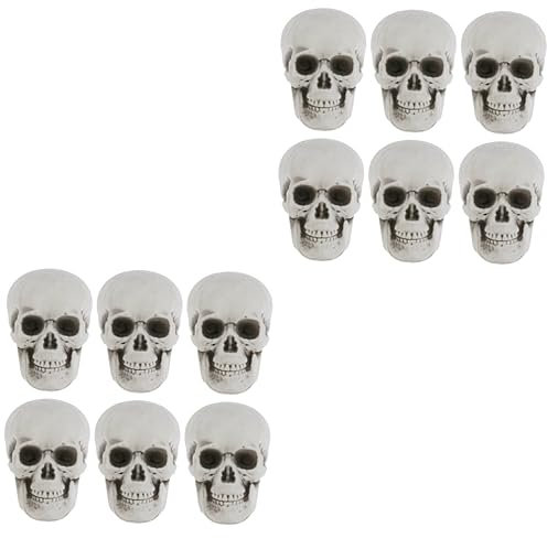 Warmhm 12 STK Halloween-schädel Schädelmodell Schädel Dekoration Schädel- -Statue - Kopfknochenmodell -Halloween- Heimzubehör Menschlicher Körper Foto