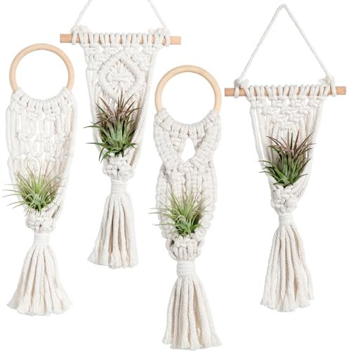 Melphoe 4 Stück Luftpflanzenhalter Ständer Air Fern Makramee Pflanzenhänger Indoor Hanging Pflanzkorb für Tillandsien Display, Boho Home Dekoration Geschenkidee