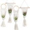Melphoe 4 Pack Air Plants Holders Stand Air Fern Macrame Plant Hanger Indoor Hanging Planter Basket for Tillandsias Display, Boho Home Decoration Gift Idea