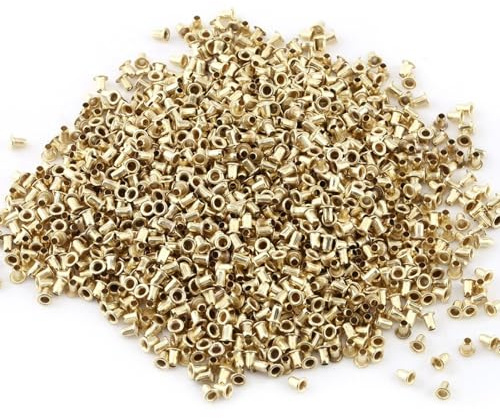 Yosoo Health Gear Bienenzucht Öten Set, 700pcs Messing Bienenstock Ösen 100g Bienenrahmen -Ösen Bienenstock Box Frame Endgewinde -Loch -Ölungen, um die Beschädigungen des Holzes zu Minimieren