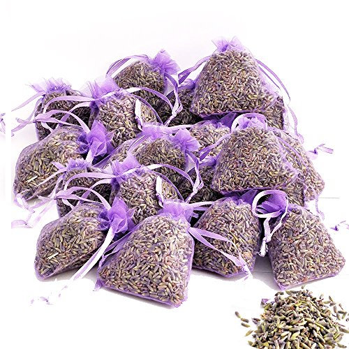 OLILLY Récolte 2025-25 Sachets Violets avec Lavande de Provence - 250 grammes (Violet, 25 Sachets)