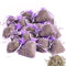 OLILLY Récolte 2024-25 Sachets Violets avec Lavande de Provence - 250 grammes (Violet, 25 Sachets)