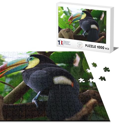 Klassisches Puzzle, 1000 Teile, Tukan im Wald, Wildleben, Vogel, Dschungel