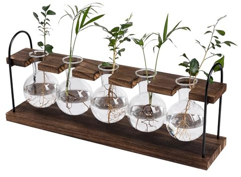 Hyindoor Estación de progatación, jarrón de terrario retro de escritorio con soporte de madera para plantas hidropónicas, decoración del hogar, jardín, boda