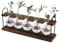 Hyindoor Stazione di progatazione, terrario da tavolo, stile retrò, con supporto in legno, per piante idroponiche, casa, giardino, decorazione per matrimoni