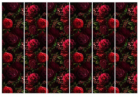 Bilderwelten Schiebegardinen Set Rote Rosen vor Schwarz 6 Flächenvorhänge 250 x 360cm Wandhalterung