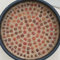 sukkulenten samen wildkräuter samen exotische pflanzen garten succulent gartenpflanzen topfpflanzen indoor garden pflegeleichte zimmerpflanzen ausgefallene Seltene Pflanzen Serie 50pcs