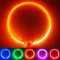 PetSol LED-Hundehalsband in Orange – wiederaufladbares USB-Sicherheitshalsband mit blinkendem Licht für Hunde, Katzen und Welpen – Größe S, M und L – modisches, im Dunkeln leuchtendes Design
