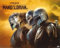 Star Wars - The Mandalorian - Creed - Mini Poster Plakat Größe 50x40 cm