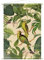 Bilderwelten Wandteppich Vintage Collage - Papageien im Dschungel grün Botanik Holzstäbe Wandbehang XXL 165x110 cm Wandtuch Wandbild Tapisserie