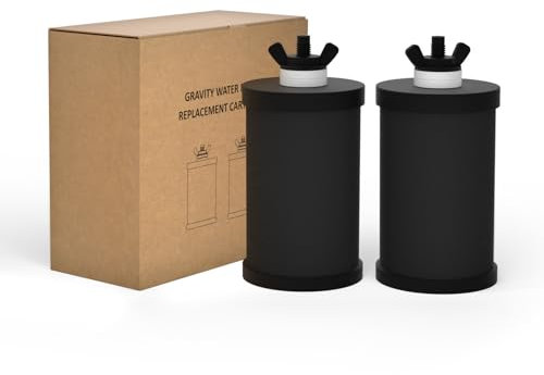Joypur Black Carbon Filtre de remplacement pour système de filtration d'eau au charbon actif, cartouche filtrante pour eau avec précision de filtre 0,01 μm, lot de 2