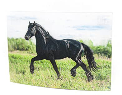 Unbekannt 3 D Ansichtskarte schwarzes Pferd, Postkarte Wackelkarte Hologrammkarte Tier Pferde
