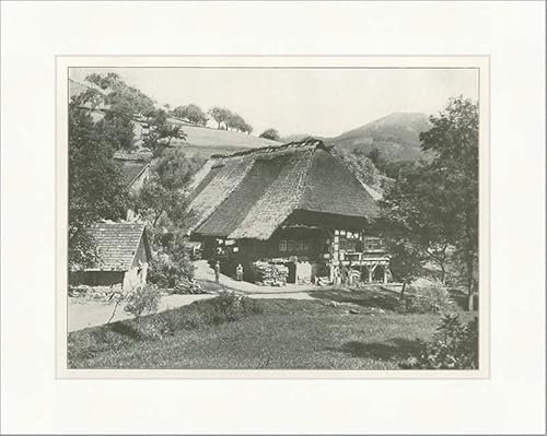 Casa de paja de la Selva Negra F_Vintage 01901