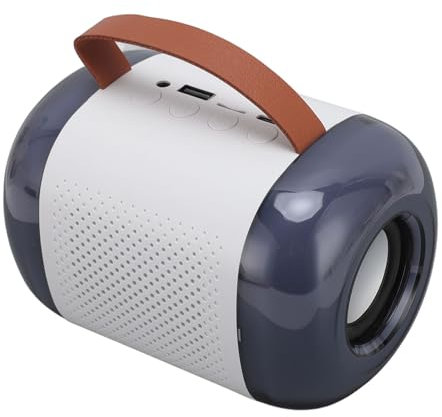 Karaoke Maschine mit Kabellosen Mikrofonen, Tragbares Bluetooth Lautsprecher Set mit RGB Licht, Tragbare Karaoke Maschine für Erwachsene, Mädchen, Jungen, Familie für Heimparty