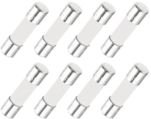 QUARKZMAN 8Pcs Fusibile temporizzato Ceramico Tubolare 5mm x 20mm 250V 20A Fusibile Lento Per Riparazione SchE de Circuiti, Apparecchiature Di Illuminazione, Strumentazione, Elettrodomestici