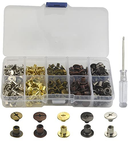 XINMEIWEN 100 Sätze Chicago Schrauben Assorted Kit Double-Sided Leder Schraube Nieten für DIY Leder Handwerk (6MM)