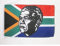 AZ FLAG - Drapeau Afrique du Sud avec Mandela - 45x30 cm - Pavillon Sud-Africain Avec Madiba 100% Polyester Avec Deux Cordelettes - 20g