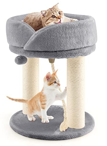 GYMAX Katzenbaum 50,5 cm hoch, Kratzbaum mit Katzenhaus & Hängende Kugel, Katzen Kratzbaum mit Sisal-Säule & Schwämme, Kletterbaum mit verstärkte Grundplatte, für Zuhause & Tierhandlung (Grau)