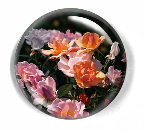 LWAY Kristall Kuppel Glas Briefbeschwerer 80mm (ROSE)