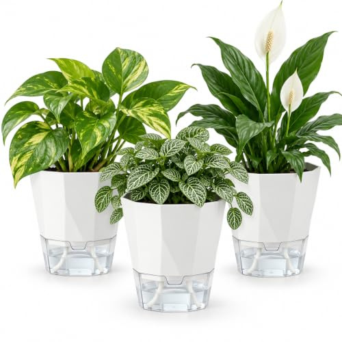 URMONA Macetas de Autorriego con Mecha y Depósito Transparente, Set Blanco | 3 unidades, blanco, abertura lateral de llenado, nivel de agua visible, para hierbas, flores y plantas de interior en casa