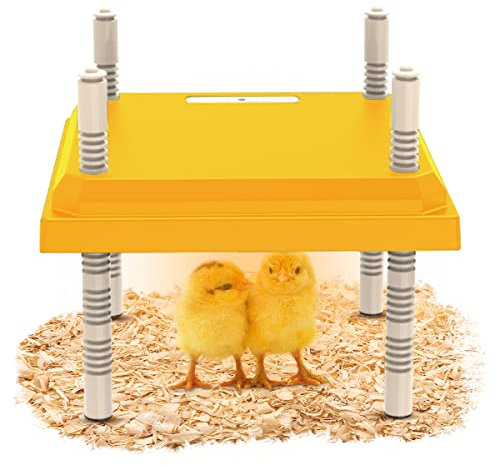 Placa de calor para pollitos de 25 x 25 cm, con ajuste de temperatura, placa de calor de pollitos con altura ajustable, placa de calentamiento para pollitos y patos, calienta hasta 15 pollitos