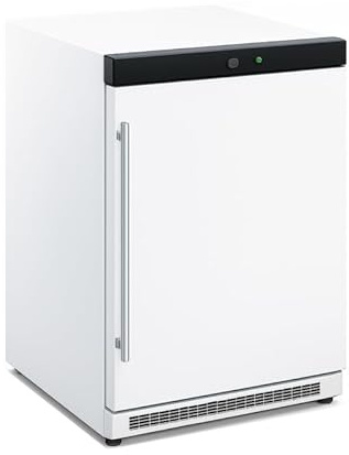 Générique Armoire Réfrigérée Négative 200L 1 Porte -18°C