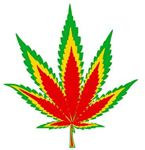 TENNER.LONDON Set of 5 x Rasta colour Cannabis DIY Iron on Transfer marijuana plant leaf patch Weed Rasta hemp badge