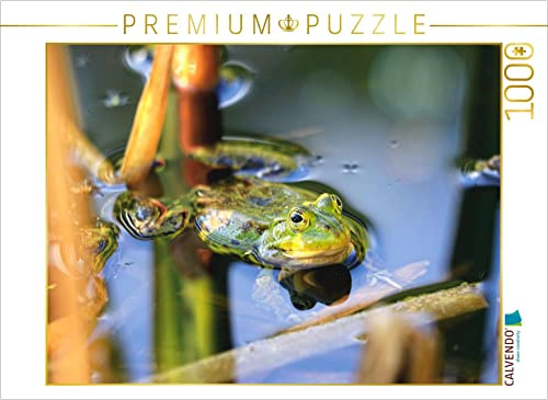 CALVENDO Puzzle Teichfrosch | 1000 Teile Lege-Größe 64 x 48 cm Foto-Puzzle für glückliche Stunden
