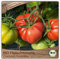 Samenliebe BIO Fleischtomaten Samen alte Sorte Costoluto Fiorentino süße Ochsenherztomate italienische Tomate 10 Samen samenfestes Gemüse Saatgut für Gewächshaus Freiland und Balkon BIO Gemüsesamen