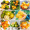 80 Pcs Orangenbaum Winterhart Samen, Bonsai Samen, Frisches Obst (Citrus Reticulata) Säulenobst Obstsamen Winterharte Pflanzen Für Kübel Säulenobstbäume Pflanzen Züchten Gartenpflanzen