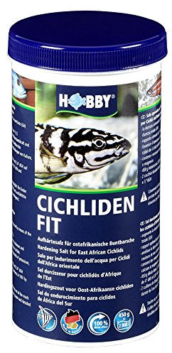 Hobby 51082 Cichliden Fit