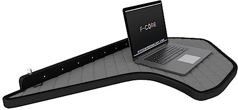 F-CORE Tablettes Tableau de Bord Camion compatibilité pour DAF XF NG XG XG+ 10.21- Centrale Gris